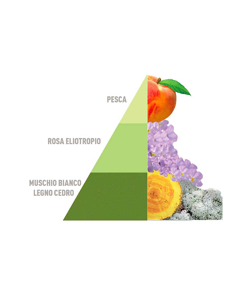 Box 2 - 4 Profumatori Bucato da 50 ml