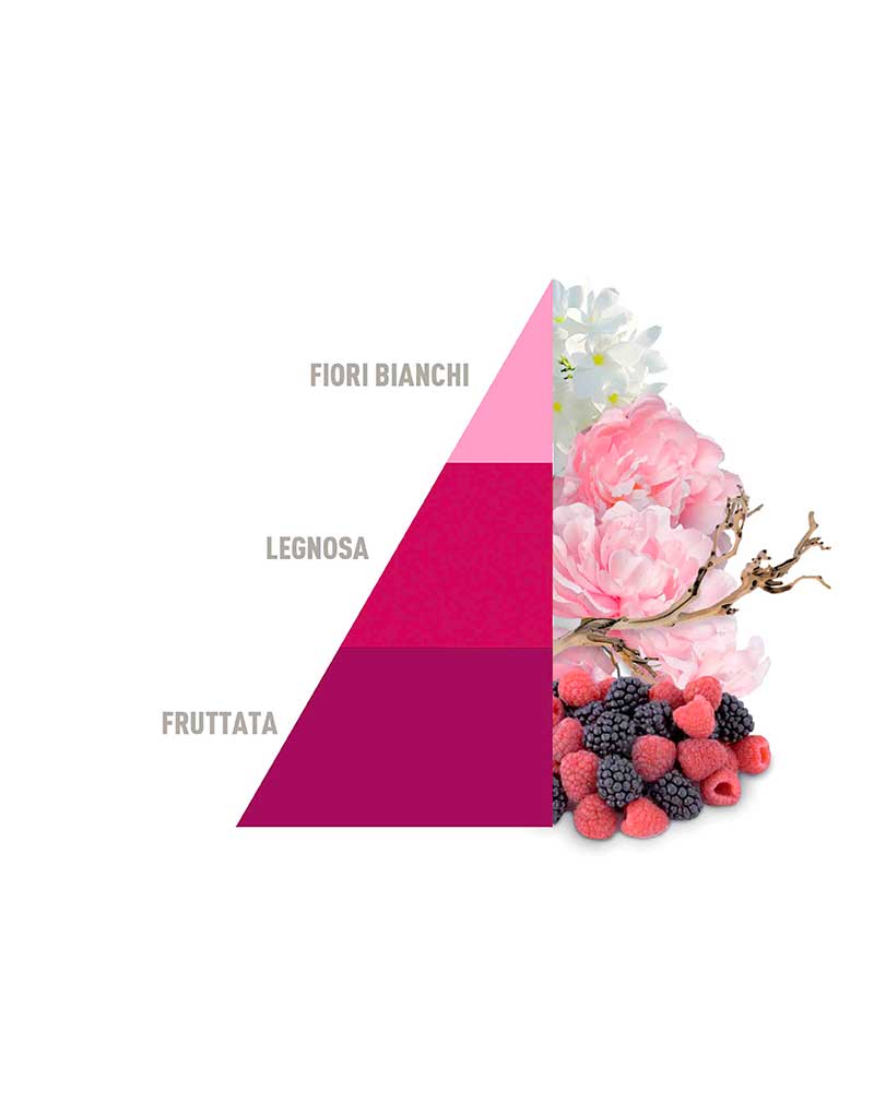 Box 3 - 4 Profumatori Bucato da 50 ml